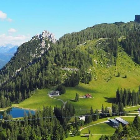 Ferienwohnung Ochsenhorn In Lofer 100 M² / 4-8 P. المظهر الخارجي الصورة